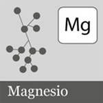 Роль магния в организме человека