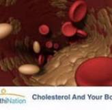 Как снизить уровень холестерина в крови